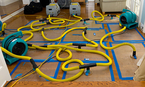 Professional Structural Drying And Dehumidification technician working in Milford, IL